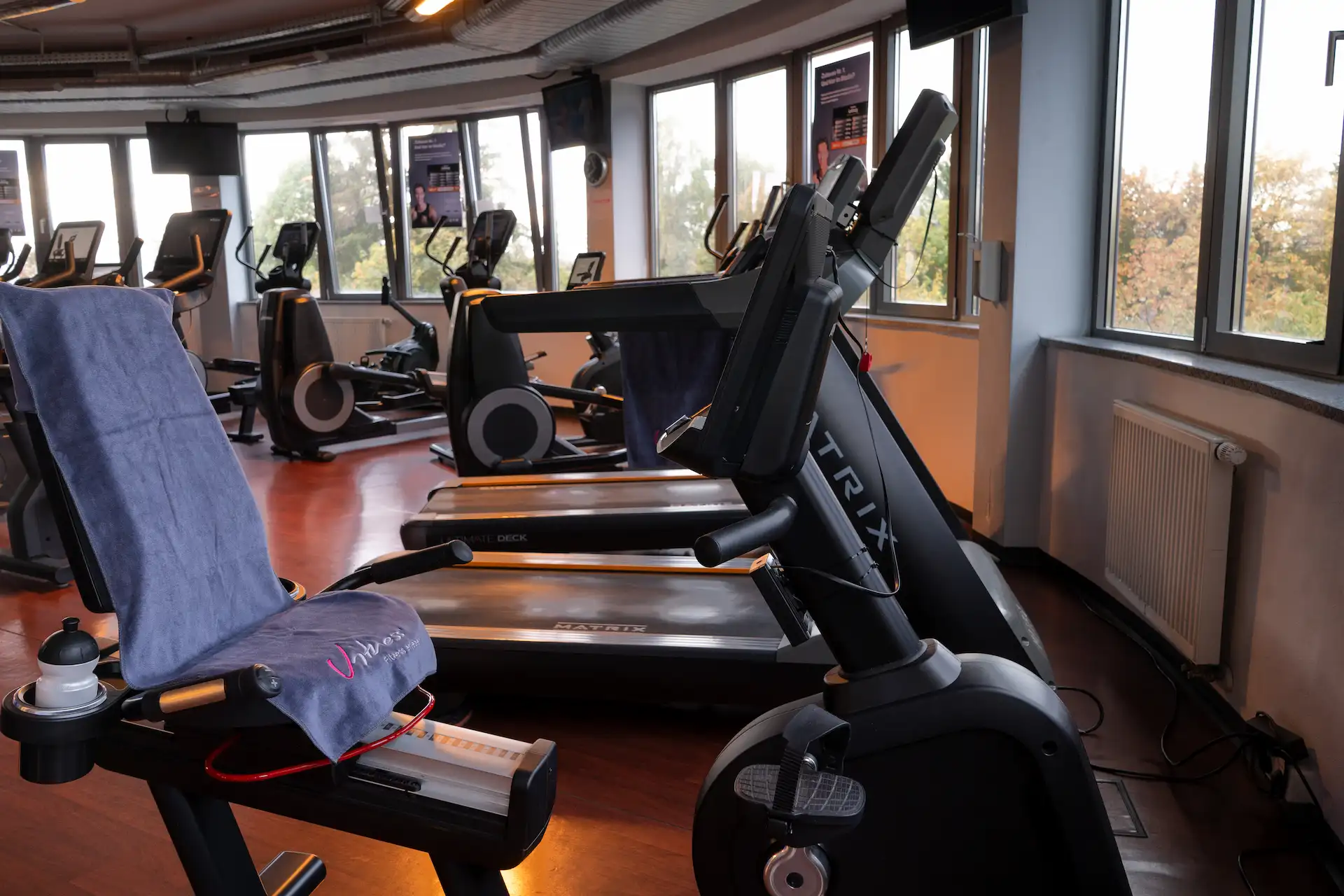 Cardiogeräte vor großen Fenstern